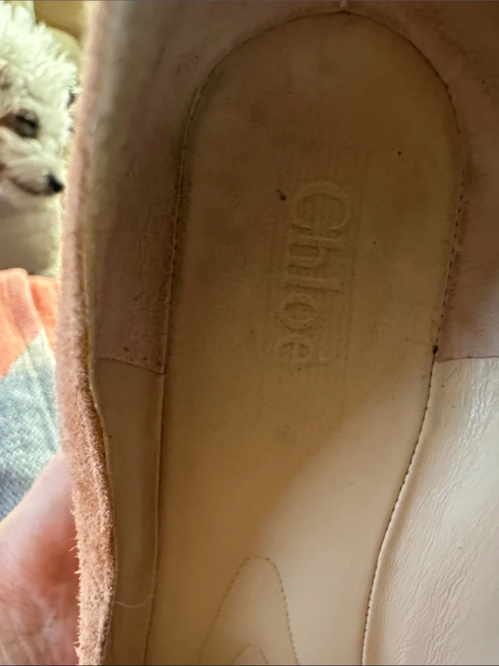 Chloe Tan Suede Pointed Flats with Ankle Strap